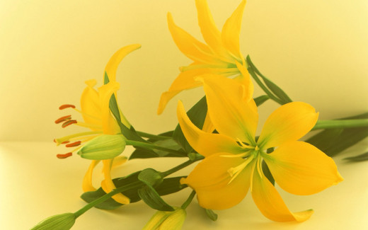 458409 (a): :1680x1050